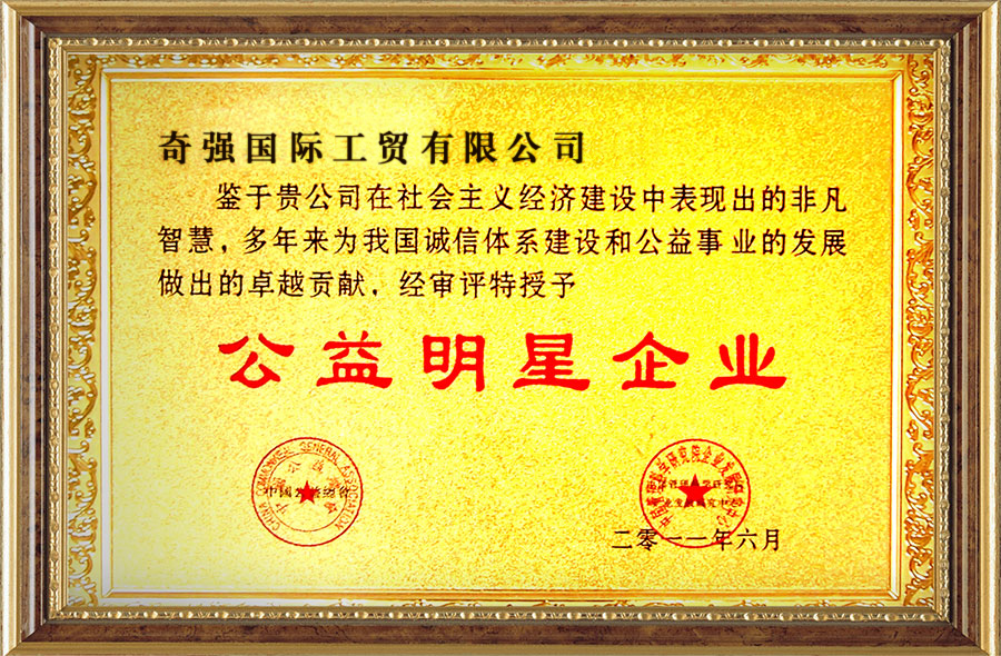 公益明星企业